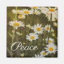 Search for peace square magnets Floral