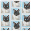 Search for siamese cat fabric Kitten