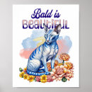 Search for hairless cat posters Cats