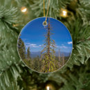 Search for lake tahoe christmas tree decorations Outdoors