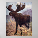 Search for vintage elk posters Retro