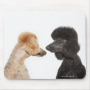Search for bonding mousepads Studio shot