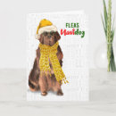 Search for newfoundland christmas cards Pets