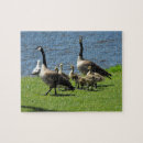 Search for goslings puzzles Animals