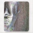 Search for gray squirrel mousepads Rodent