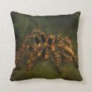 Search for arachnid cushions Scary