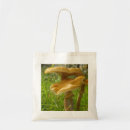 Search for fungus bags Mushroom