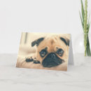 Search for funny dog quotes cards Unique