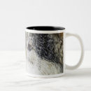 Search for timber wolf mugs Outdoors