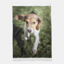 Search for beagle tea towels Animal