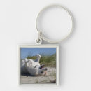 Search for yellow retriever key rings Outdoors