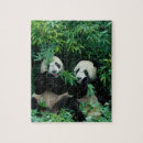 Search for panda bear puzzles Bamboo