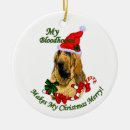 Search for bloodhound christmas tree decorations Xmas