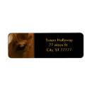Search for equine return address labels Equestrian