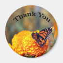 Search for monarch butterfly magnets Insect