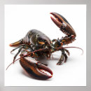 Search for lobster art Animal