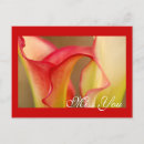 Search for calla postcards Flower