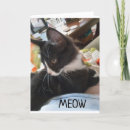 Search for from both of us cards Kitten