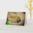 Search for moth birthday cards Caterpillar