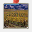 Search for edna California