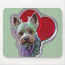 Search for blue terrier electronics Yorkie