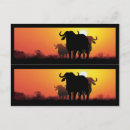 Search for african art postcards Sunset
