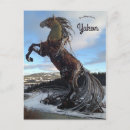 Search for whitehorse postcards Canada