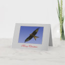 Search for kite cards Nature