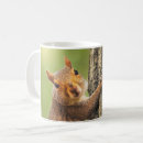 Search for squirrel love mugs Humour