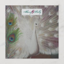 Search for white peacock invitations Green