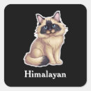 Search for himalayan stickers Pet