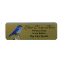 Search for bluebird return address labels Wildlife