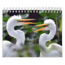 Search for wild animals calendars Ducks