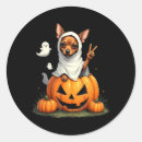 Search for pinschers stickers Magic spell