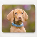 Search for hungarian mousepads Pet