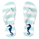 Search for horse shoes Beach