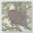 Search for eagle coasters America