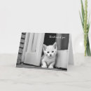 Search for doorway cards Cute
