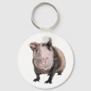 Search for cute pig key rings Pet