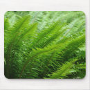 Search for lush mousepads Leaves