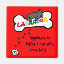 Search for belly square magnets Funny