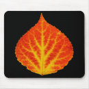 Search for aspen electronics Autumn