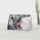 Search for male christmas cards Animal
