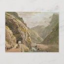 Search for lory postcards Mathias
