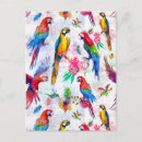 Search for 2 initials postcards Parrot
