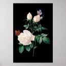 Search for white and black butterfly posters Botanical