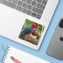 Search for rosella stickers Parakeet