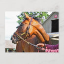 Search for barns postcards Horses