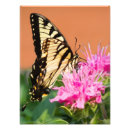 Search for bee balm posters Nature