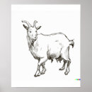 Search for sheep art posters Vintage
